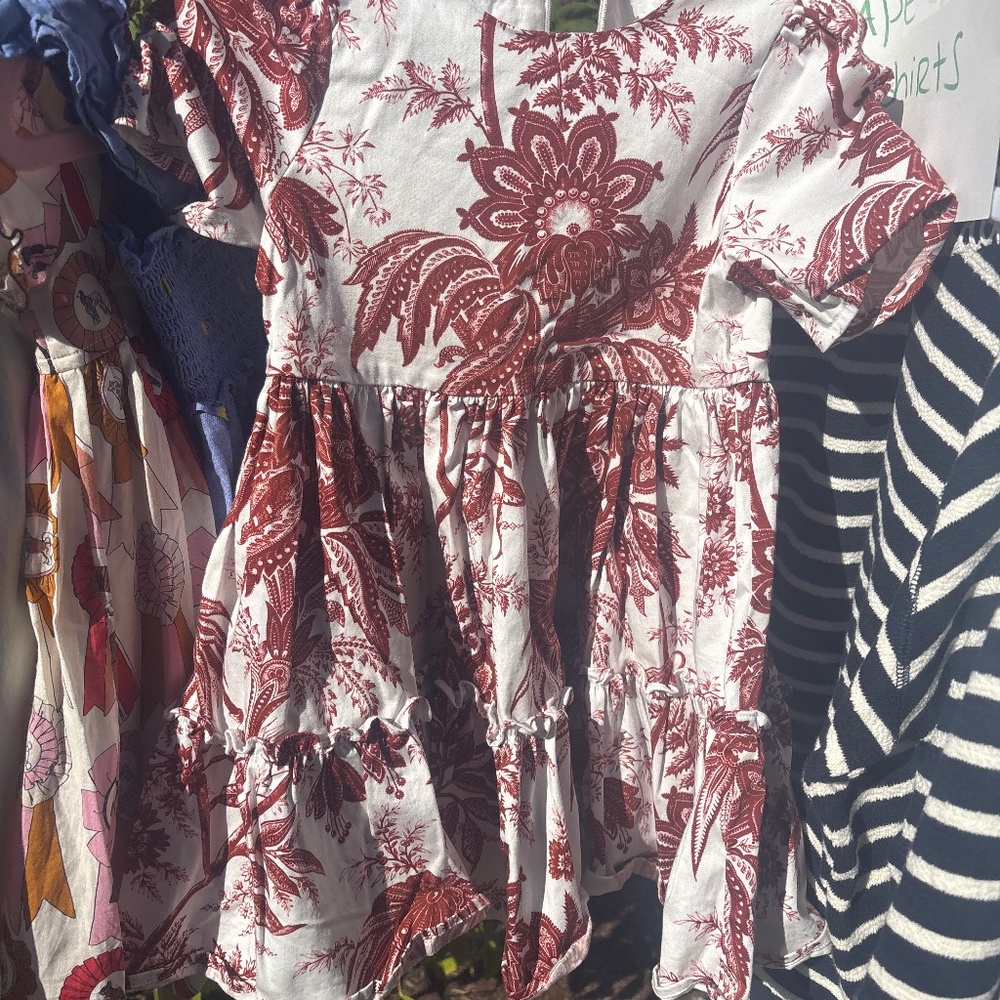 Cara Cara and a pink Chicken girls dresses